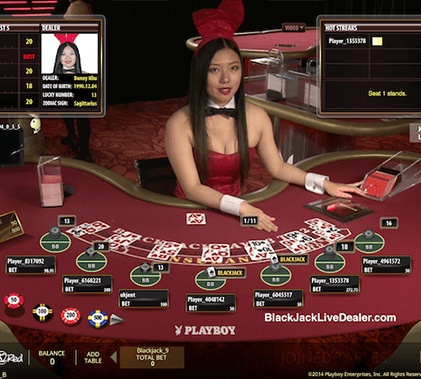 Casino Cruise Live Dealer Screenshot 4